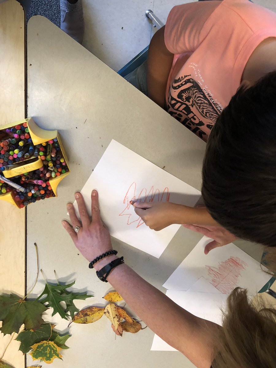 stars_aim's tweet photo. Learning about leaves! 🍁🍃🍂 https://t.co/BSNZJ18NQB