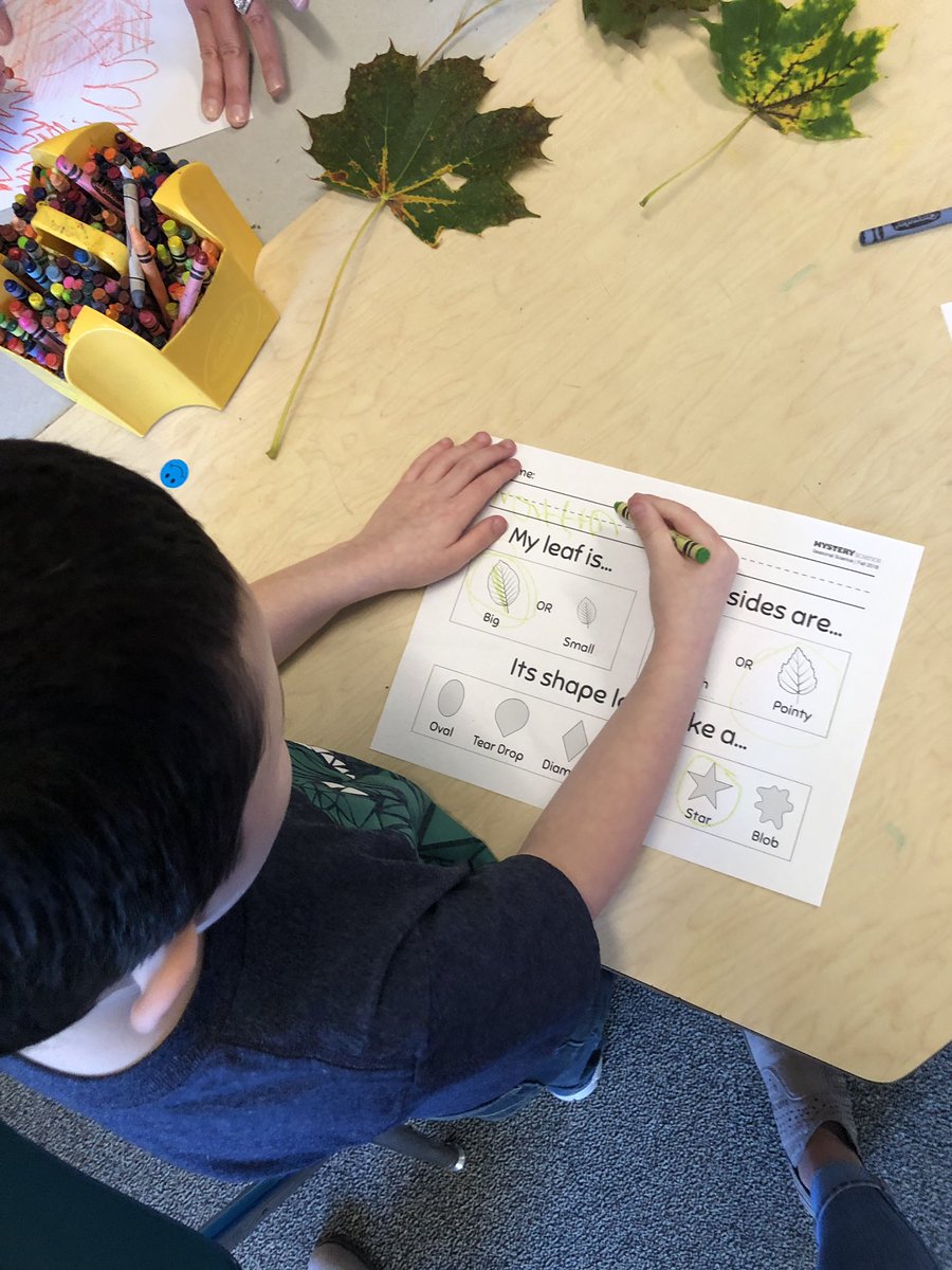 stars_aim's tweet photo. Learning about leaves! 🍁🍃🍂 https://t.co/BSNZJ18NQB