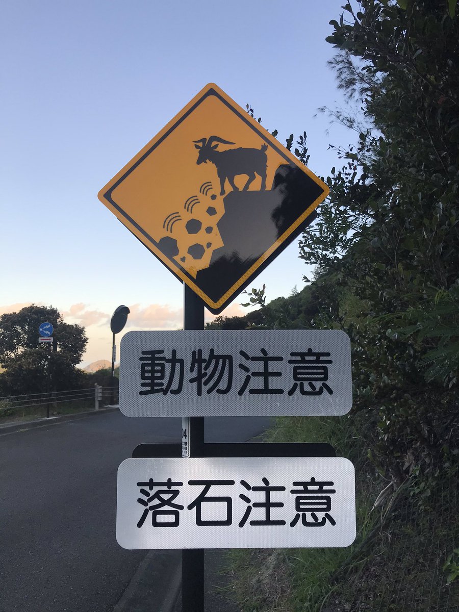 動物注意 Twitter Search