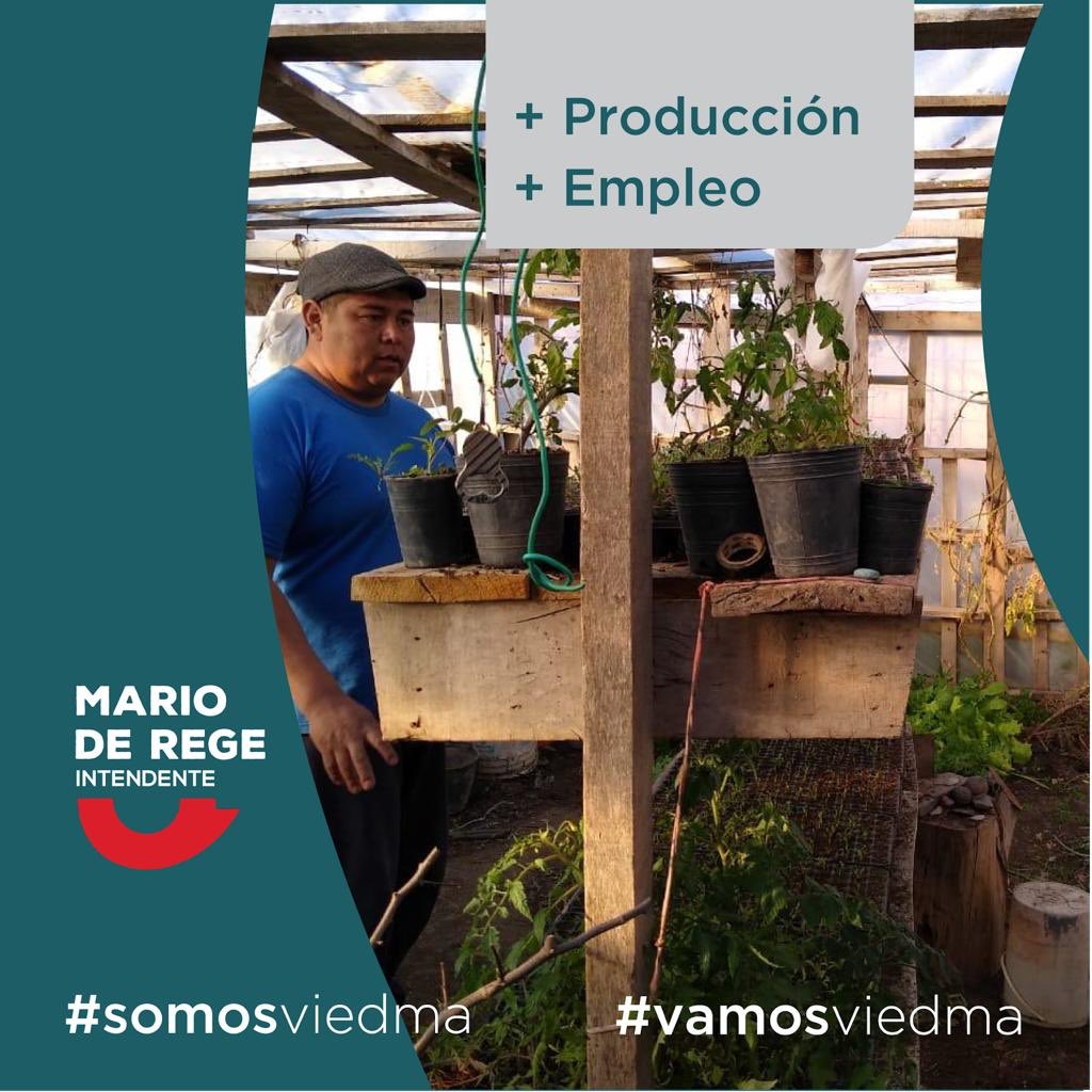 deregemario's tweet photo. EMPLEO EN VIEDMA
Hay mucho que el Municipio puede hacer para generar, más y mejor empleo. 
El Estado Municipal, debe ser un facilitador en vez de un obstáculo. 
Proponemos 👇🏼 https://t.co/g0Hs9s8VZl