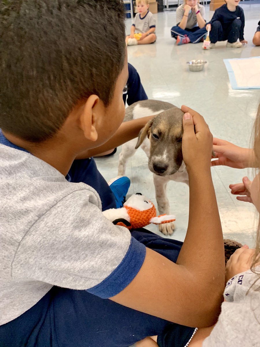 Thank you to <a href="/Providence_AC/">Providence_AC</a> for bringing some special visitors to our school today to honor the feast day of St. Francis of Assisi!  Our donation drive was a huge success and we thank everyone who donated!