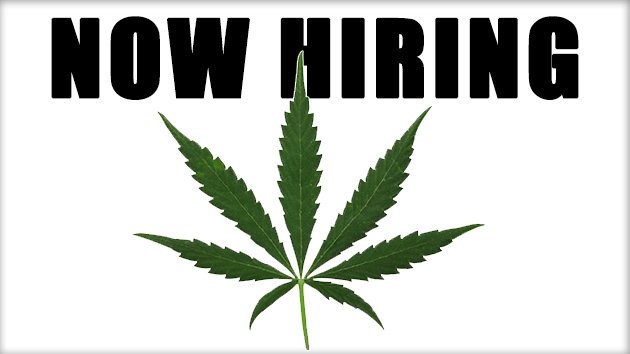 How to Write a Resume for Cannabis Industry Employment weedzmagazine.com/how-to-write-a…