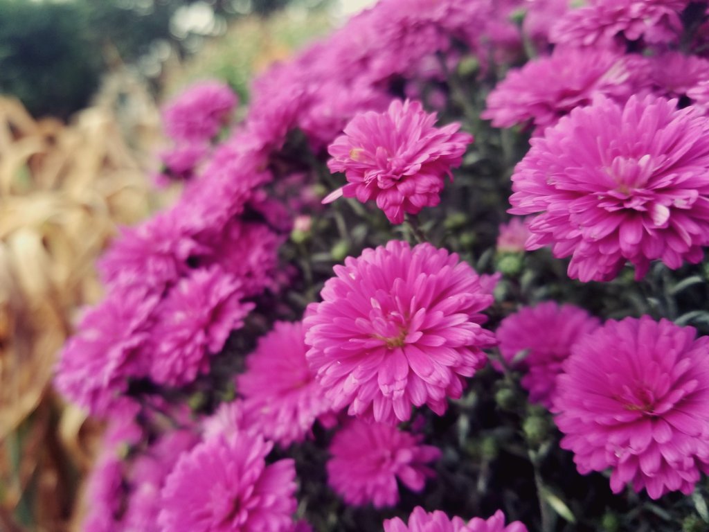 before they go.. ♡