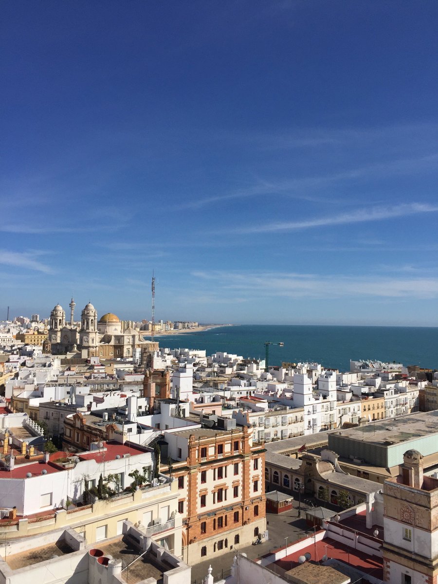 Chris Gibson tweet media