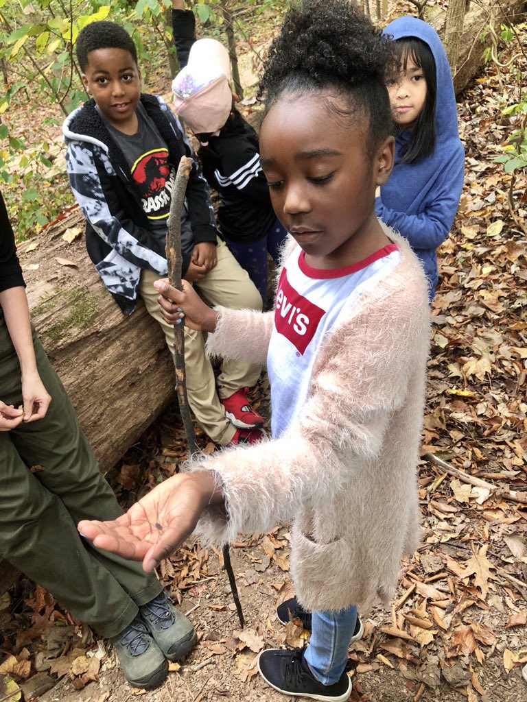 Ms. Moreira tweet media