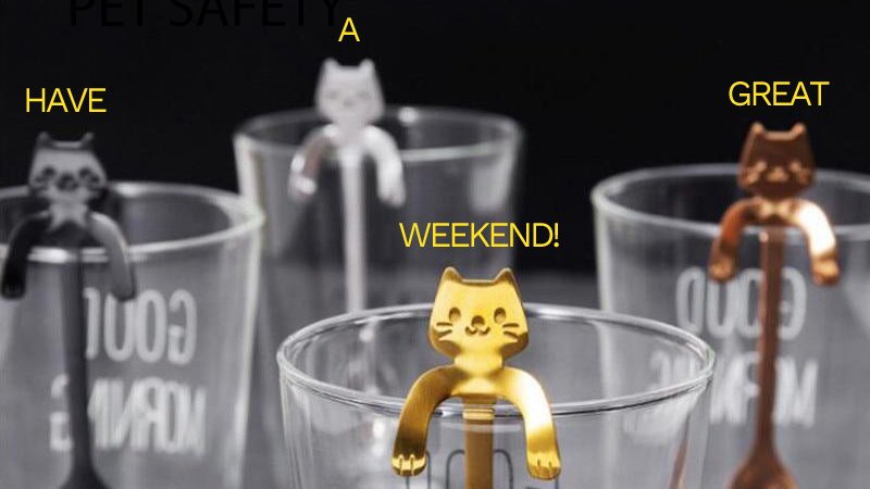 TheFunYou's tweet image. Have a great weekend! #MyWeekend #CatsofTwitter #Relax