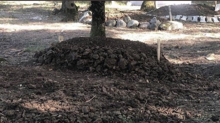 Ve Allah, ilk hesabı kime soracaktır

Bir okula, bir şehre, bir ülkeye sığdıramadığınız bu küçücük bedenin sığındığı şu bir metre toprak, 
o zifiri, o ebedi siyah kalplerinizin nefretini kapatır mı

Ve Allah, o zifiri kalplerin, ağızların hesabının da hesap gününün de sahibidir