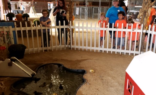 sandy_grove's tweet photo. Students in Mrs. McNeill’s and Mrs. Ambrose’s classes enjoyed a field trip to the fair! Look at the joy on their faces! https://t.co/Pf3WBV8Y2d
