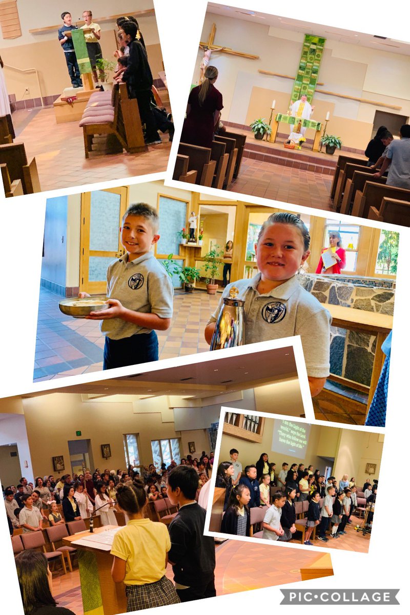 Our Lady of Lourdes tweet media