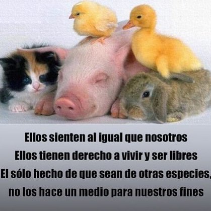 iRetomx's tweet photo. Por un mundo con respeto hacia todos los seres vivos #DiaMundialDelAnimal #DiaDeLosAnimales #FelizViernesATodos #4DeOctubre #BuenViernes # https://t.co/QqYAKwqZId