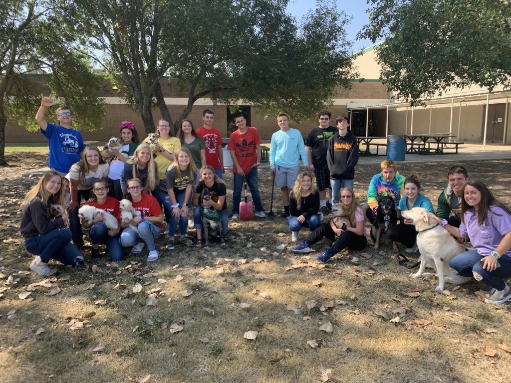 AgTeach_Sefcik's tweet photo. 1st Official #beepups Day Care was a hit!! Our Animal Science classes learned a lot & can’t wait for our next hands-on experience! #agedu #TCA #learningtodo #whosmoretired #FFA #somanypups @AcademyHigh https://t.co/8nBlkhyCUd