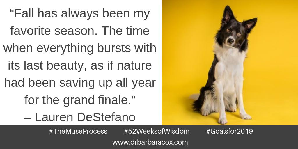 DrBarbaraCox's tweet photo. 52 Weeks of Wisdom - Week 40
⠀
#52WeeksofWisdom #Goalsfor2019 #TheMuseProcess #sandiego #sandiegoliving #sandiegoinspiration #womeninbusiness #sandiegobusiness #inspirationalleadership #womeninleadership #leaders #intuition #businessintuition #motivation #businessmeditation https://t.co/vlHkevkxeI