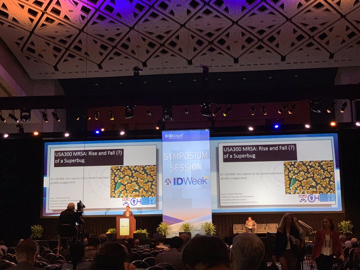 @CHOP_ID faculty @pauljplanet rockin’ the big room at @IDWeek2019 teaching about the rise and fall of community associates MRSA! Picture courtesy of @CHOP_ID alumnus @gramstain. @PIDSociety