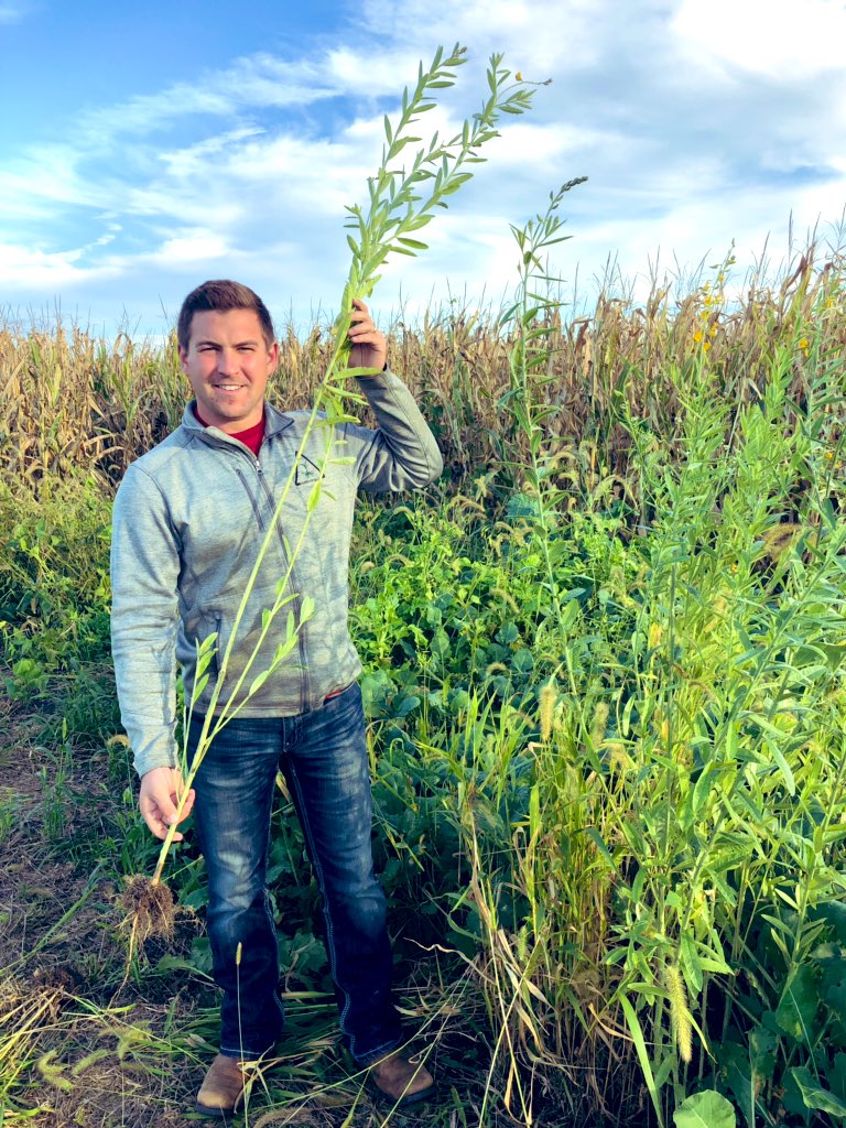 Mitchell Hora tweet media