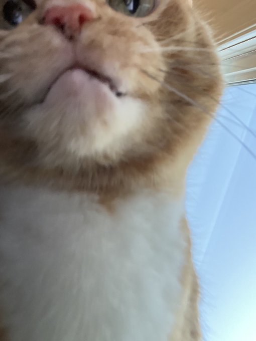 Watch lil nugget's leaked NSFW photo on TwXstars