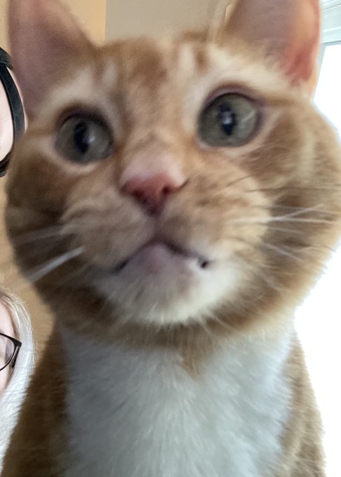 Watch lil nugget's leaked NSFW photo on TwXstars