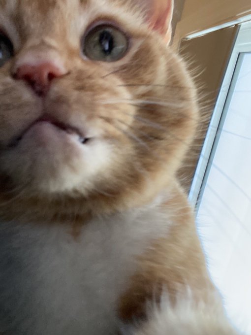 Watch lil nugget's leaked NSFW photo on TwXstars