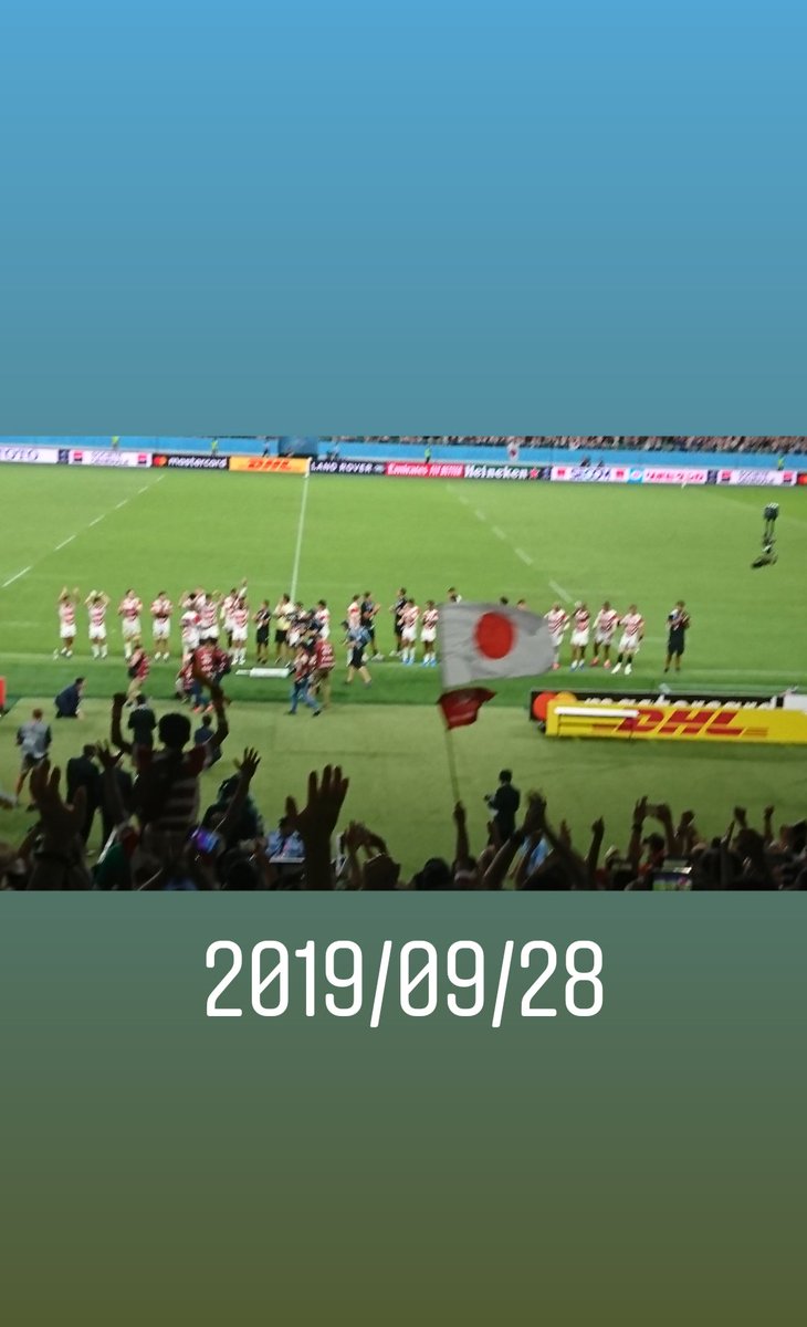 wallabies tweet media