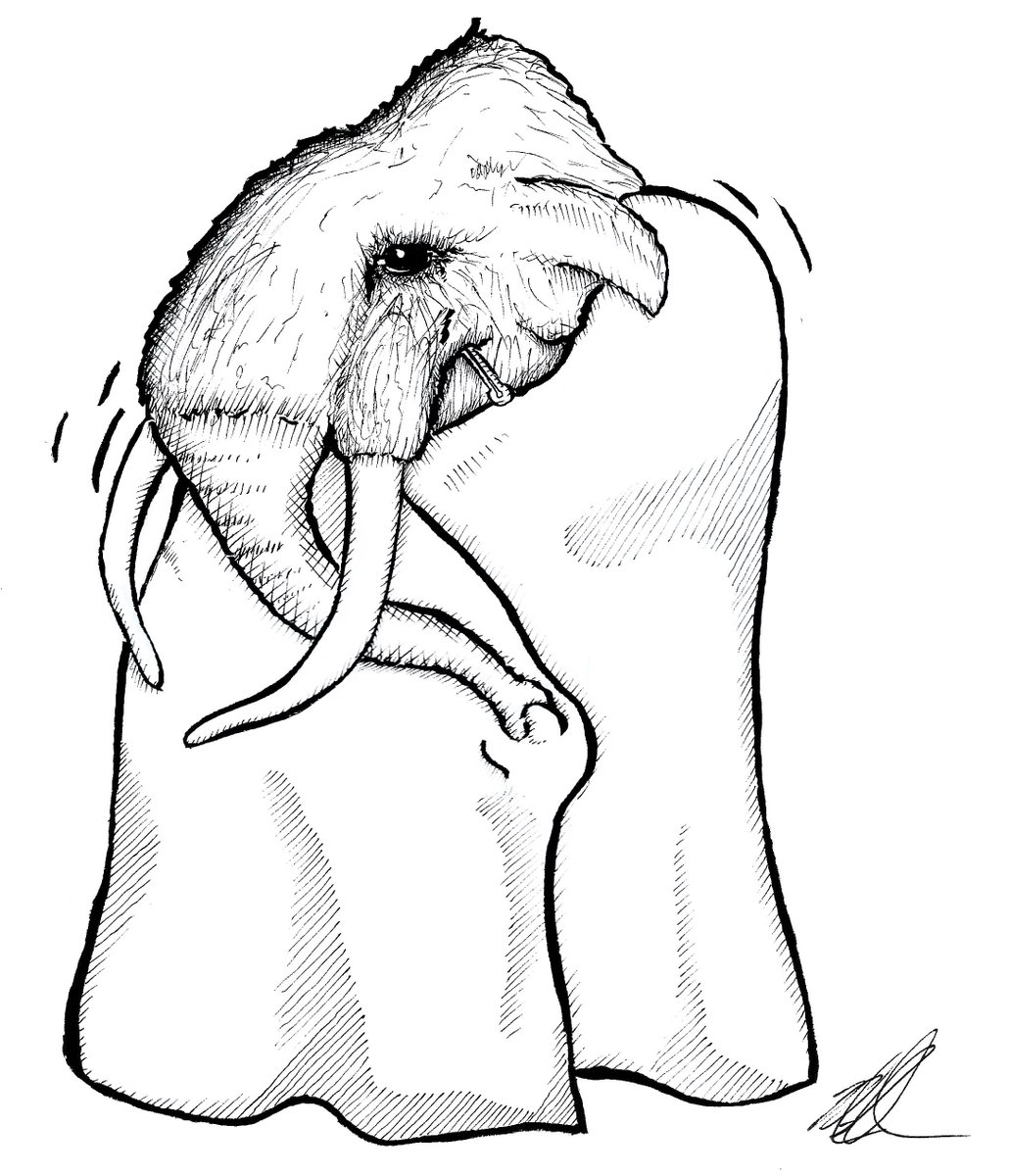 Polyagonist's tweet image. #Inktober Day 4: Freeze