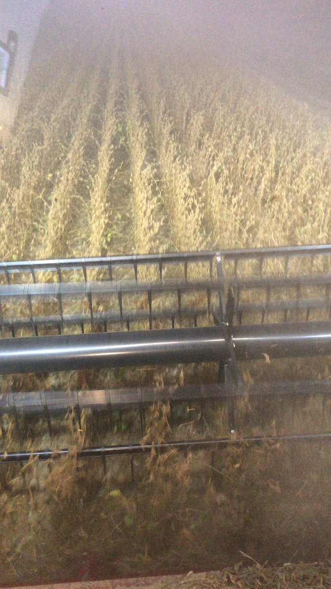 S. IL Technology Development; Bayer Crop Science tweet media