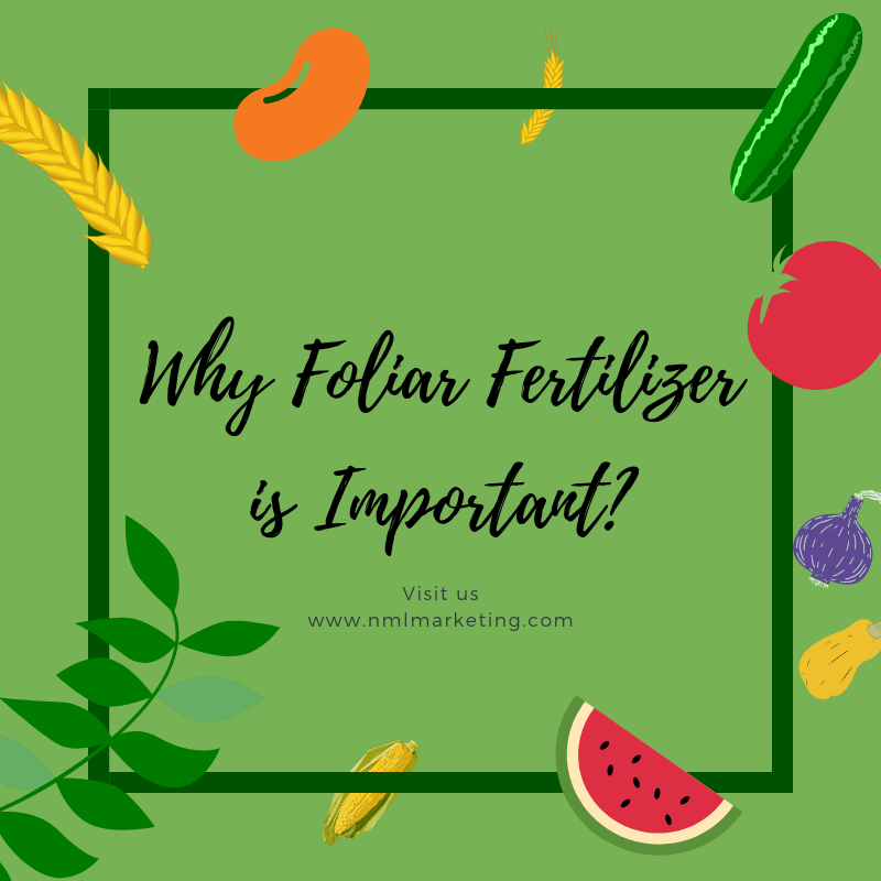 MarketingNml's tweet photo. Fruits &amp; vegetables require normal showering or clouding. Plants can and will ingest nutrients from their leaves with a supplement arrangement blend. Foliar nourishing gives a quick lift to your plants; creating bigger, better, and more grounded harvests. https://t.co/byCgO7eccr