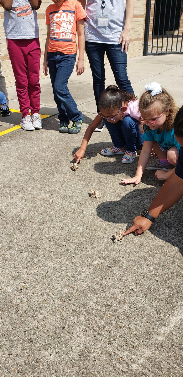 Mrs. Volson tweet media