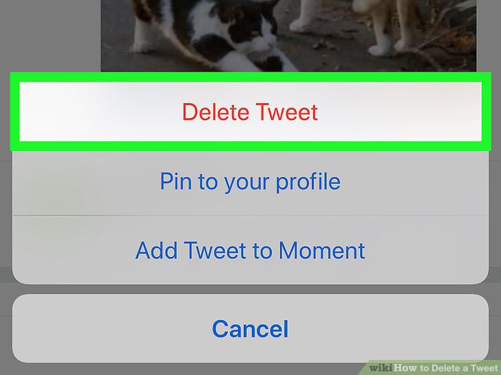 Callum Coli tweet media