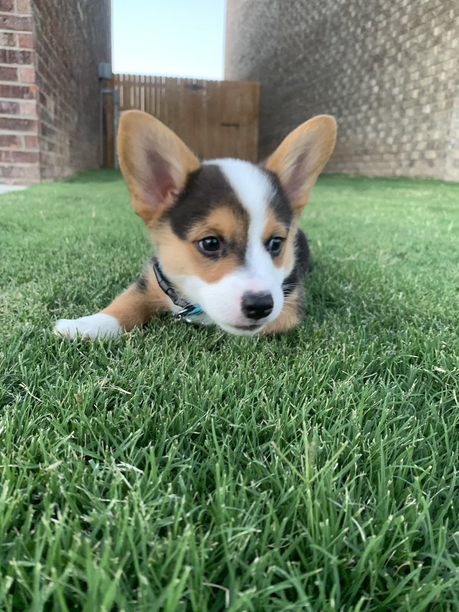 Isabel🌳 tweet media