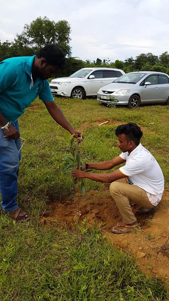 Lions Tree Planting event of Lions District 306 A2 happend with the young leaders of Leo District 306 A2 at SAKYA Kingdom - Piliyandala
#A2Lions #A2Leos #TreePlanting pic.x.com/gdr2GsjDV3