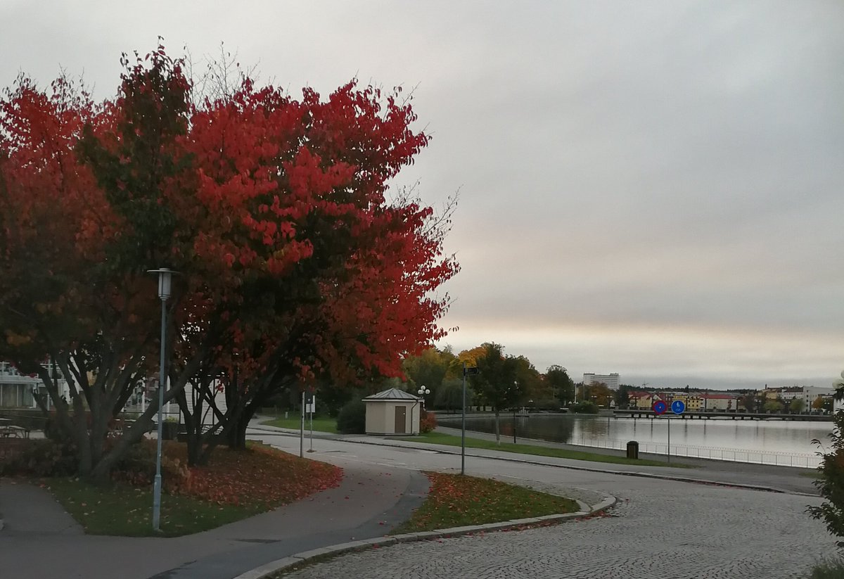 AmyMetcalfeIM's tweet photo. It's a cold, crisp Autumnal morning today. Very glad I packed my thermals! ❄️ Off we go now to the #VolvoCE customer centre for the 2019 #OperatorsClub Final! 😁🇸🇪 https://t.co/scGEU3VPp4