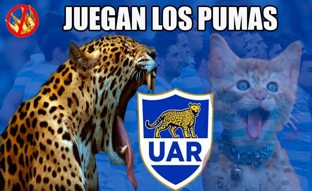 findemonarquia's tweet photo. #VamosPumas #pumasxespn #argeng #pumas #BuenSabado #FelizSabado #SabadoDeGanarSeguidores #vamoslospumas 

Hoy juegan los pumas https://t.co/fw9figsAVq
