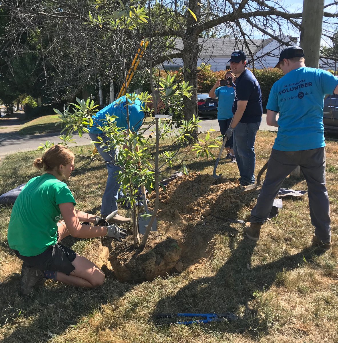 mcslivesunited's tweet photo. Trees were planted today ⁦@ElderServeInc⁩  thanks ⁦@LouisvilleGrows⁩ #GEADay #GEAFallProject https://t.co/Iobrk3YS8X
