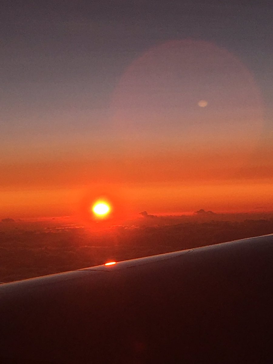 mraffatellu's tweet image. You know it was a long day when you see the sunrise on a Greek island and the sunset while landing in San Francisco. I really enjoyed the #ModelHost @AegeanConf, lots of great science with model organisms, and a gorgeous location.