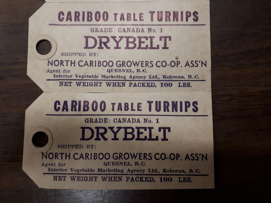 I have some turnip labels from Quesnel. My father-in-law (now 97 years old!) says although he was a turnip farmer in the 1950s, never put these on any bags. He sold the turnips to the co-op then in turn the co-op sent them to the Okanagan. @benbradleyca #BcHistory #bchist