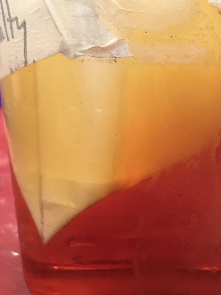 AllieBBogart's tweet photo. Seventh grade students investigating semipermeable membranes and diffusion. Doing a great job making sense of phenomenon. @KernvilleUnionS #coltsstem https://t.co/RyJM1koXzK