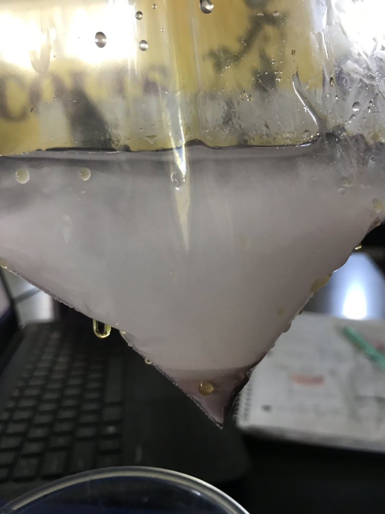 AllieBBogart's tweet photo. Seventh grade students investigating semipermeable membranes and diffusion. Doing a great job making sense of phenomenon. @KernvilleUnionS #coltsstem https://t.co/RyJM1koXzK