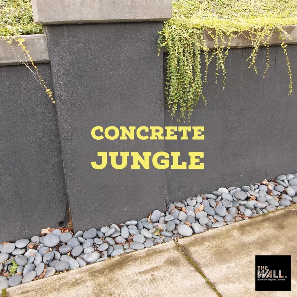 The Wall (@thewallpdx) / Posts / X