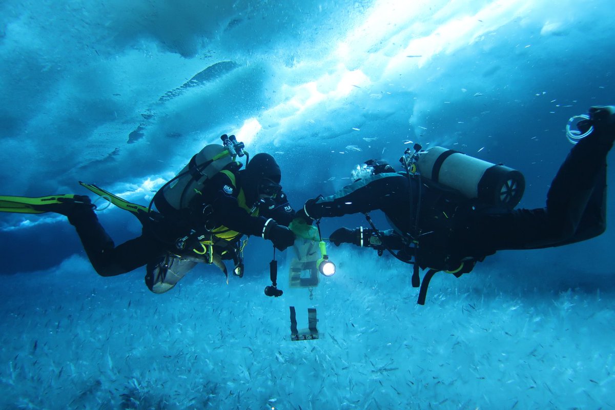 awnaslund's tweet photo. Never mind the -2°C water, Mandy Frazier and Rob Robbins make collecting juvenile fish under the Antarctic sea ice seem easy. 

PC: Steve Rupp https://t.co/i9gTeNFLnc