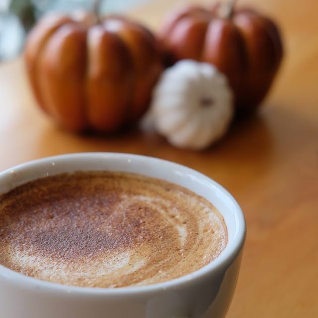 It’s come to that season!
Pumpkin Spice Latte 🎃 •
•
•
•
#anakkopi #masfotokopi #baristadaily #manmakecoffee #cupsinframe #proudofyourlocalcoffeeshop #espresso #kyototower #coldbrew #matcha #coffee #kopi #tea #matchalover #instacoffee #coffeegraph #coffeeshot #caffeineadd…