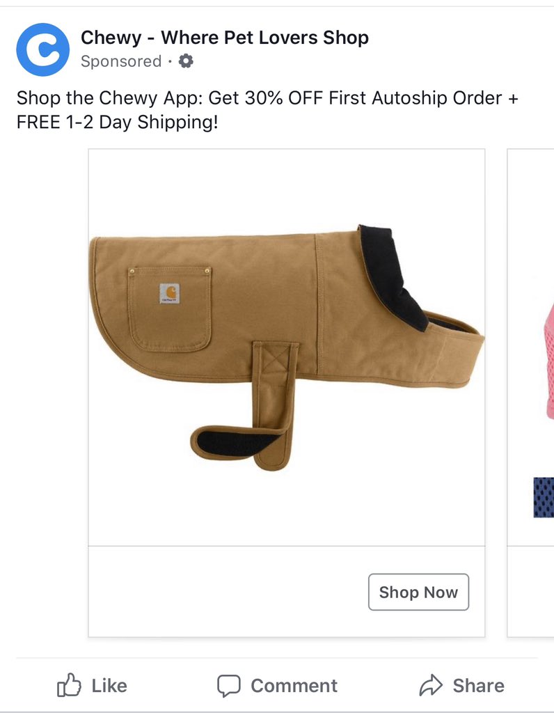 I told Matthew if he got me a dog I would buy it Carhartt everything. 

If this doesn’t get me a dog idk what will.