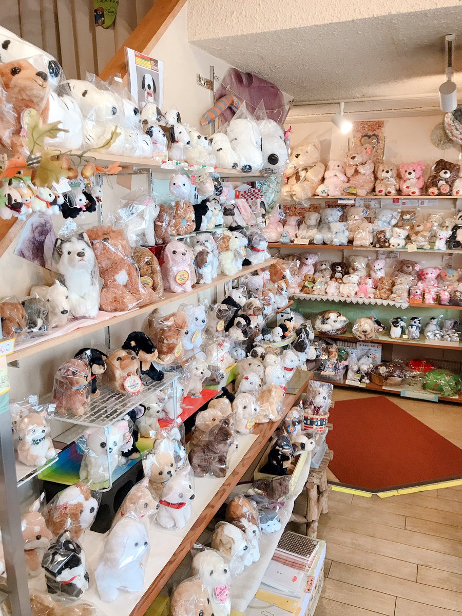 ট ইট র ゆーきんᝯᝰ 金沢市の九兵衛ってぬいぐるみ専門店 なかなかコアなメーカーのぬいぐるみも揃ってて好きなメーカーのぬいも豊富で金沢にいてよかったと思える これは薬局とか身長測定器の側にいそうなキリンのぬい