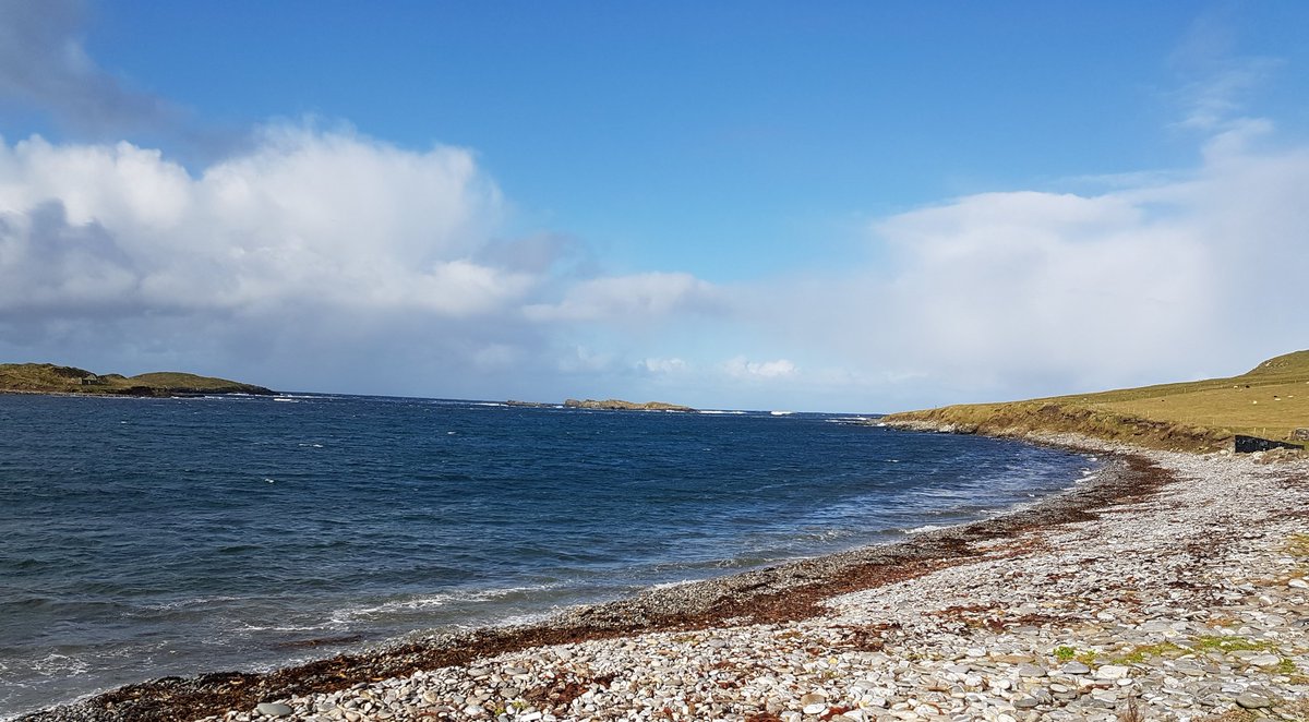 End of our week on Shetland with <a href="/Heatherleabirds/">Heatherlea Birding</a> having experienced surprisingly good weather. Last day included a showy Barred Warbler and Siberian Stonechat
