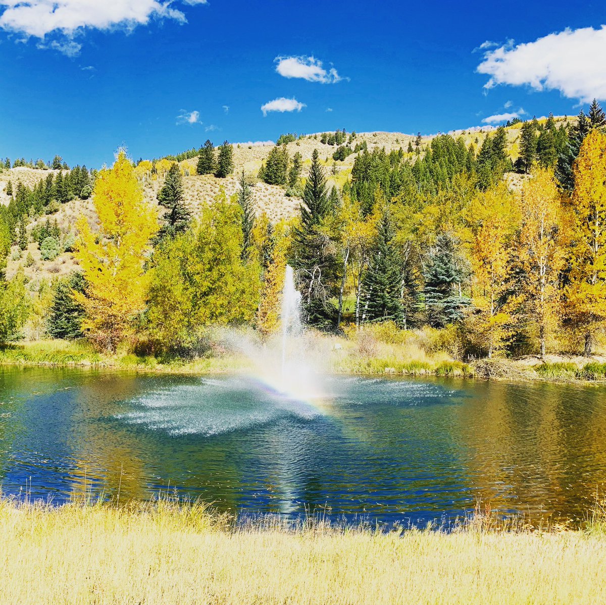 LukeWyckoff's tweet photo. An outstanding day of CEO golf at @BeaverCreekGolf - @beavercreekmtn is looking #Outstanding right now! @BeavercreekCoC #beavercreek #CEOGolf https://t.co/uKqC3m5d9Y