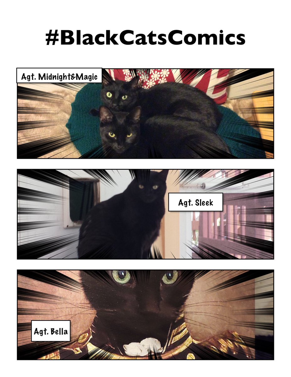 Agente V tweet media