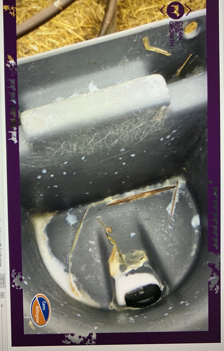 Julia Wadeson tweet media