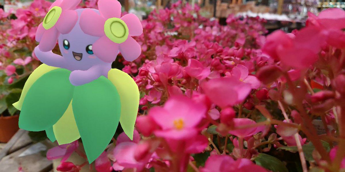 たくま D Pvp修行中 皆さんがflowerで思い浮かぶ曲はなんですか Gosnapshot Pokemongoar 好きなようにgoしよう キレイハナ