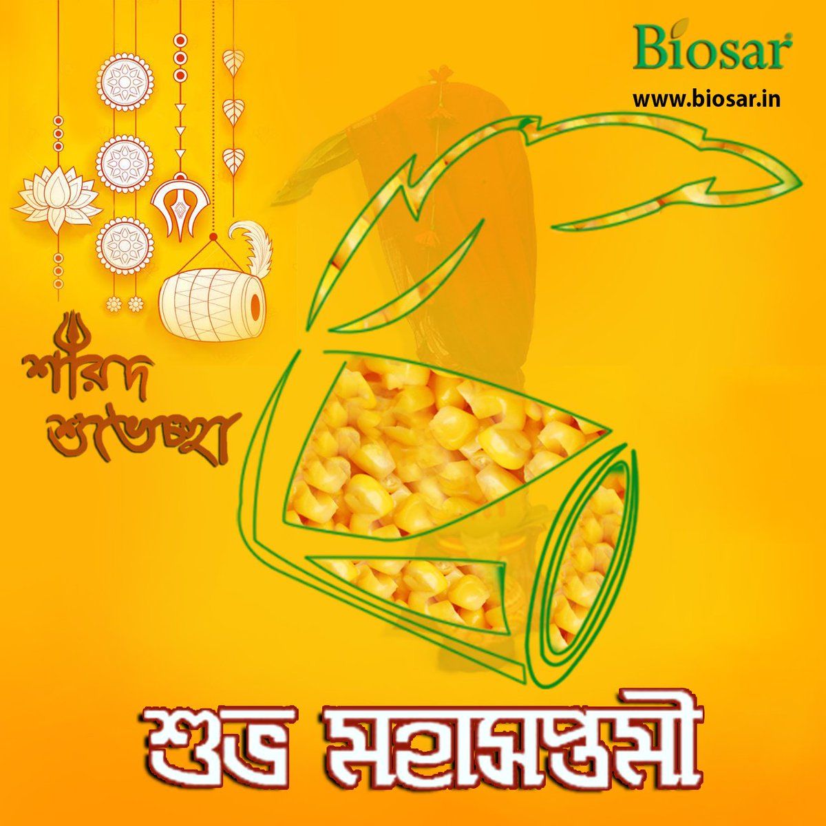 Biosar_IN's tweet photo. Biosar wishes Shubho Maha Saptami. https://t.co/fxaCi8YU30