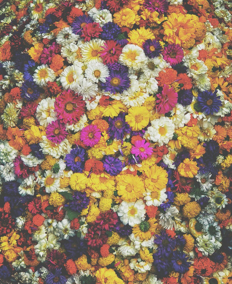 Micol_Manzo's tweet photo. Le persone timide maturano il loro amore in silenzio, ma quando ne sono colmi, lo comunicano con gli occhi.

Micol Manzo

#buongiorno #BuongiornoATutti #5ottobre #VociPoetiche https://t.co/AIDgEnSETB