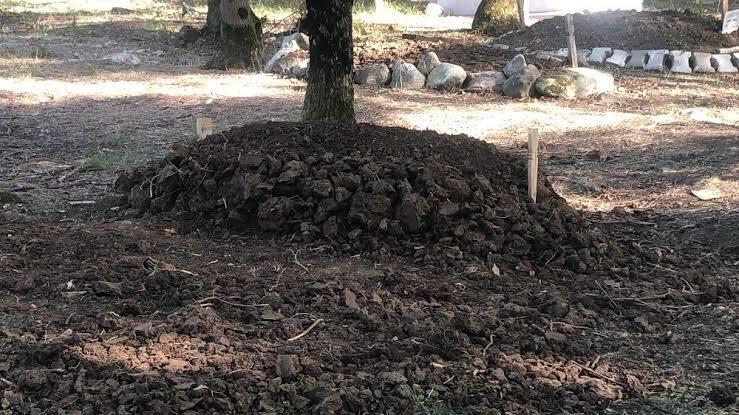 Şimdi biz nasıl hesap vereceğiz bu çocuğa. Kendisini iple boynumuza astı.
Suriyeliler üzerinden ırkçılık yapan psikopat hastalar hani siz kadın ve çocuk dostuydunuz. Yoksa sadece hayvanları mı seviyorsunuz. Bu suriyeli çocuk intihar etmiş. Yeriniz yurdunuz genişledimi
#Vail