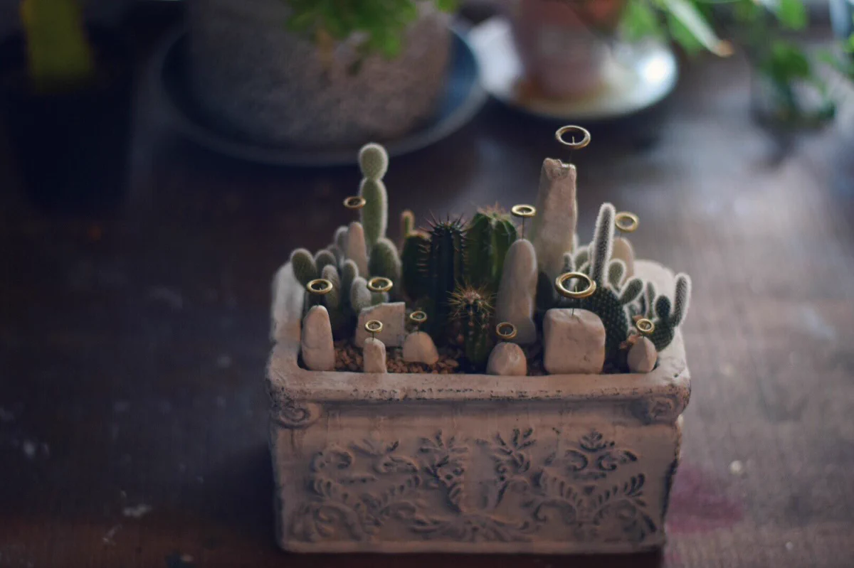 可愛くしてみた。まあまあ植物を枯らしてしまった人のプランター